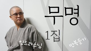 인드라스님의 대표곡 1집 무명