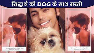 Siddharth Nigam Cute Moment With His Dog, "No Matter How You're Feeling Little Dog Gonna Love You".
