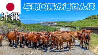 【沖縄vlog⑤/与那国島】爽快！コトー先生も自転車で走った南牧場｜立神岩｜軍艦岩｜東崎｜電車自転車で島一周25km（後半）【3泊4日】