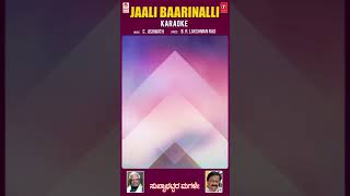 Jaali Baarinalli