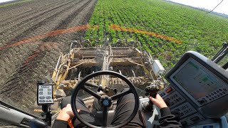 POV/Gopro Vyorávanie cukrovej repy 🌱 Euro Ropa Tiger V8-3