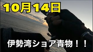 【10月14日 朝まずめ】三重県内テトラ帯から青物！