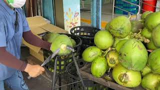 Tips for quickly cutting Coconuts in Taiwan台灣快速切割椰子的技巧