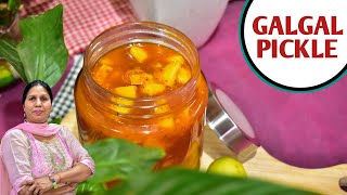 चटपटा गलगल का अचार | Galgal Ka Achar | Hill Lemon Pickle Recipe | Khatta Meetha Nimbu