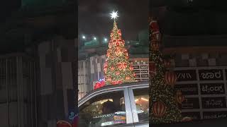 Phenix mall christmas tree huge tree#bollywoodsongs #participate only in kissik🌲