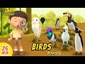 Birds Minisode Compilation (Part 2/2) - Leo the Wildlife Ranger | Animation | For Kids