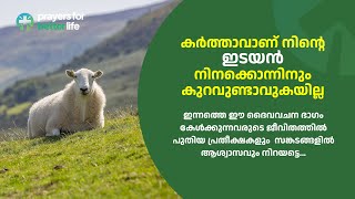 കർത്താവാണ് നിന്റെ ഇടയൻ.  നിനക്കൊന്നിനും  കുറവുണ്ടാവുകയില്ല.  സങ്കീർത്തനം 23 : 1-6 #psalms23