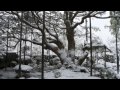 京都　宝泉院の雪景色