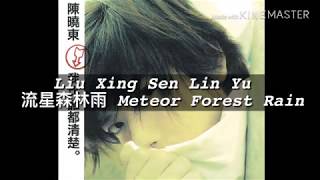 Liu Xing Sen Lin Yu  流星森林雨 Meteor Forest Rain