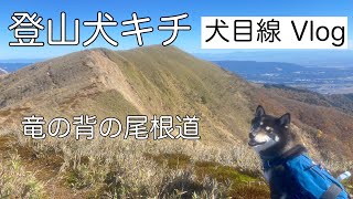 犬と登山 Vol.4 竜ヶ岳