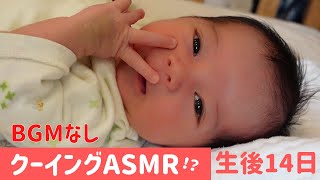 【生後14日】ASMR？BGMなし！新生児赤ちゃんのクーイングに癒される・・・