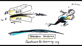 Feedback and feedback literacy