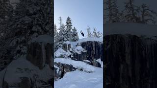 #ski #freeride #backflip #basejump