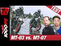 Yamaha MT-07 vs. MT-03 - muss es immer die Große sein?