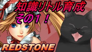 【REDSTONE】知識リトル育成その１！