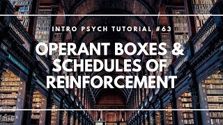 Operant Boxes & Schedules of Reinforcement (Intro Psych Tutorial #63)