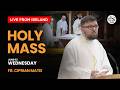 Catholic Mass Today | 03 June 2026 | SS. Peter & Paul's Church I Live from Ireland