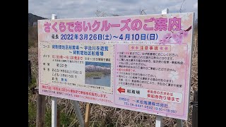 2022年春　さくらであいクルーズ　復路（背割堤終点～背割堤地区船着場）