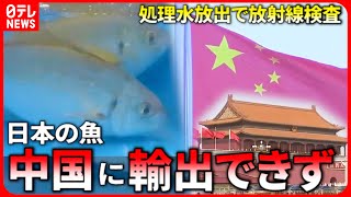 【中国】日本の魚に\