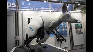 Meet the Bionic Kangaroo | The Edge