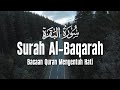 SURAH AL BAQARAH - Setan Kabur dari Rumah - Penenang Hati dan Pikiran - Tareq Muhammad