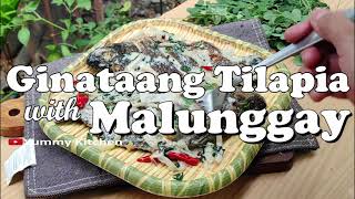 Ginataang Tilapia With Malunggay