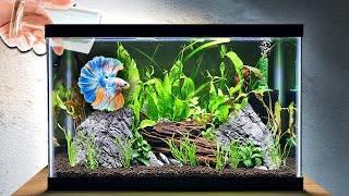 EASY Planted Tank Tutorial for Betta Fish (Step by Step)