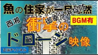 「釣り場探訪」御幸ヶ浜堤防（BGM有バージョン）