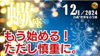 蠍座♏️2024年12月★もう始める！ただし慎重に。