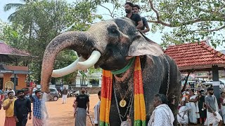 എന്നാ വിളിയാ അവന്റെ | ചെത്തല്ലൂര് മുരളീകൃഷ്ണന് കിട്ടിയ സ്വീകരണം|chiramangad pooram 2023