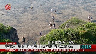 小琉球年遊客逾40-50萬 潮間帶生物少八成 2020-04-13 IPCF-TITV 原文會 原視新聞