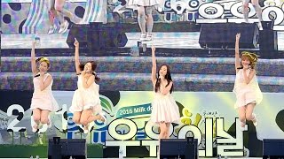 [4K] [160528] 에이프릴 April - 팅커벨 Tinker Bell (우유의 날) 직캠/Fancam by PIERCE