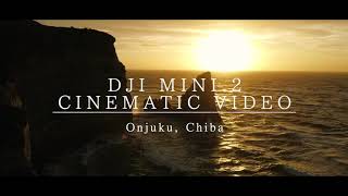 【DJI MINI2 Crash!】作例 CINEMATIC MOVIE 千葉県大波月海岸での日の出撮影