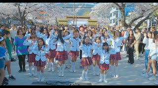 2019 K-POP RANDOM PLAY DANCE IN JINHAE, KOR 랜덤 플레이 댄스 2019