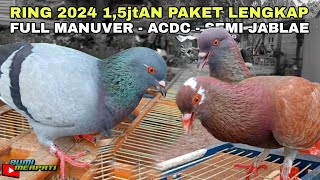 PANTAU 3 PASANG MERPATI PLAYER KARAKTER LENGKAP !!!