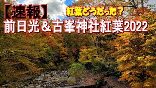 【2024紅葉参考に】前日光＆古峯神社紅葉2022年10月29日時点、人気紅葉スポット古峯神社の庭園、古峯園と前日光ハイランドロッジ周辺(横根高原)、紅葉してたの？紅葉はどうだったのか？わかる紅葉動画