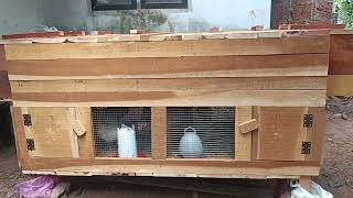 Let's meet a multi-purpose chicken coop | കോഴിക്കൂട് | നാടൻ കോഴി | വളർത്തൽ | വിൽപന