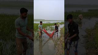 আজ পদ্মায় গামছা দিয়ে ইলিশ মাছ ধরলাম 🐟😲😍(046) bengali village fishing video || bangla fishing vlog