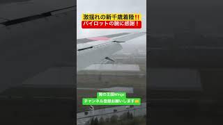 激揺れの新千歳着陸‼️パイロットの腕に感謝‼️翼の王国Wingsチャンネル登録お願いします🤲