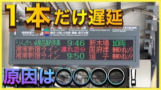 【湘南新宿ラインが湘南新宿ラインに抜かれる？】遠く離れた場所の事故が原因で遅れた湘南新宿ラインに乗車‼️