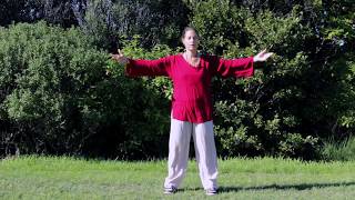 Tai Chi 5 Minutes a Day Module 04 - Cloud Hands - Single Whip - Snake Creeps down