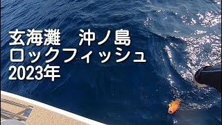 玄海灘　沖ノ島　ロックフィッシュ(アカハタ　キジハタ)2023年