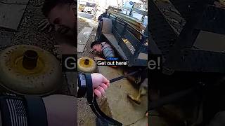 Police K9 Finds Hiding Suspect
