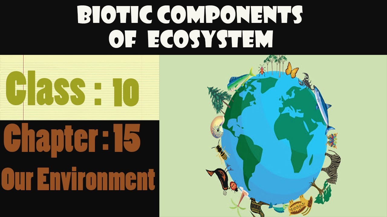 Biotic Components Of Ecosystem - YouTube