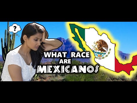 What best summarizes the central idea of the passage from like mexicans o people from different ethnicities have a difficult time understanding each Other o people can be of different ethnicities and still have shared life experiences o people should marry based?