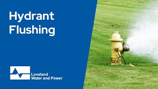 Hydrant Flushing: What it is and why we do it