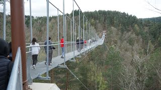 En passant par la passerelle des gorges du Lignon Haute Loire SONY A7 HD1080 Patrick ERTEL