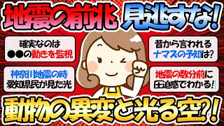 【ガルちゃん有益】地震の予言、予知、前兆を真面目に語りたい【防災】【ガルちゃんまとめ】