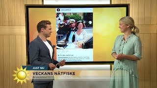 Prinsessan Sofia om näthatet - veckans nätfiske med Anders Pihlblad - Nyhetsmorgon (TV4)