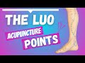 The LUO Connecting Acupuncture Points